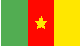 cameroon flag